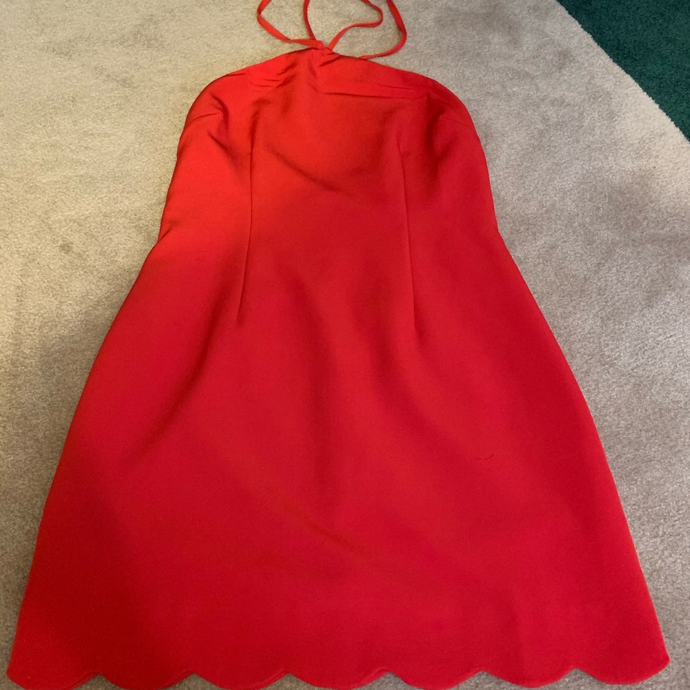 Tobi Dress - Picture 2 of 2